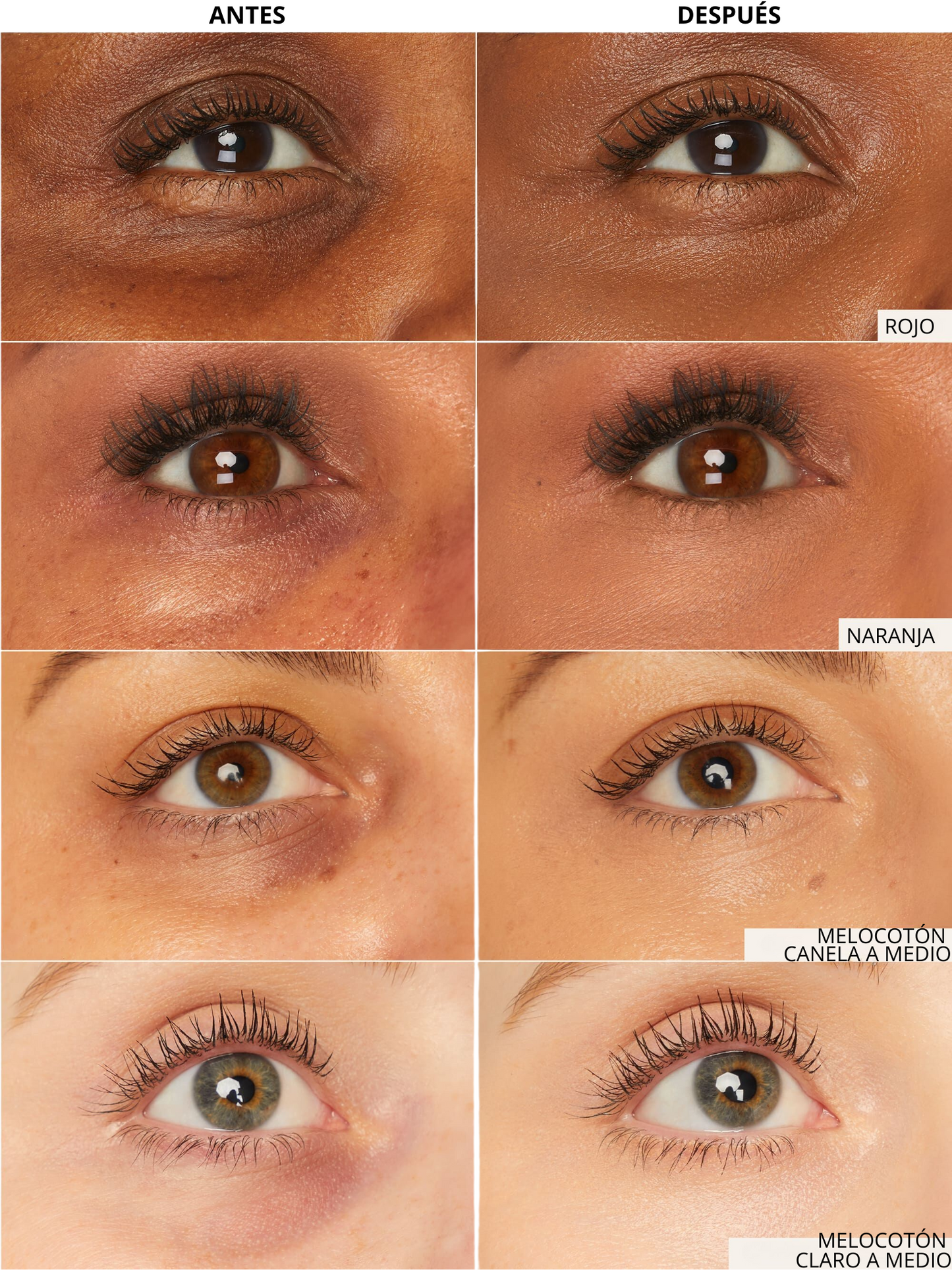 Corrector de ojeras + Brocha GRATIS